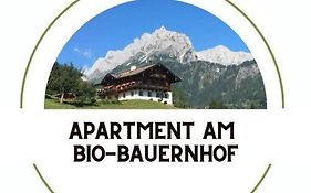 Bio Bauernhof Perneissl Apartment